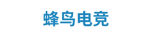 蜂鸟电竞
